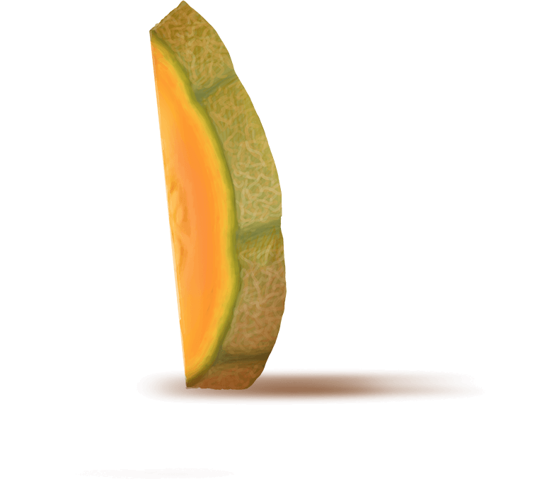 Melon