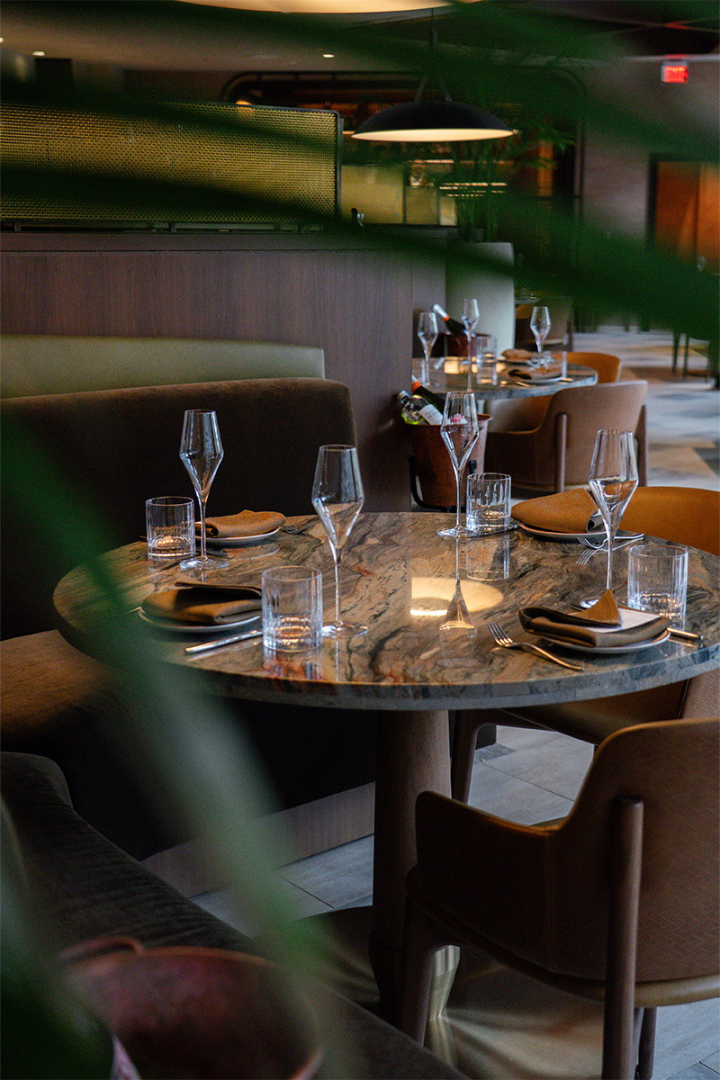 Intimate table setting with stone-top round table, seen through indoor plants.